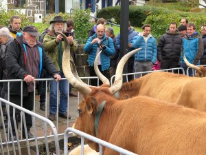 Santa_Lutzi_feria_2017-1